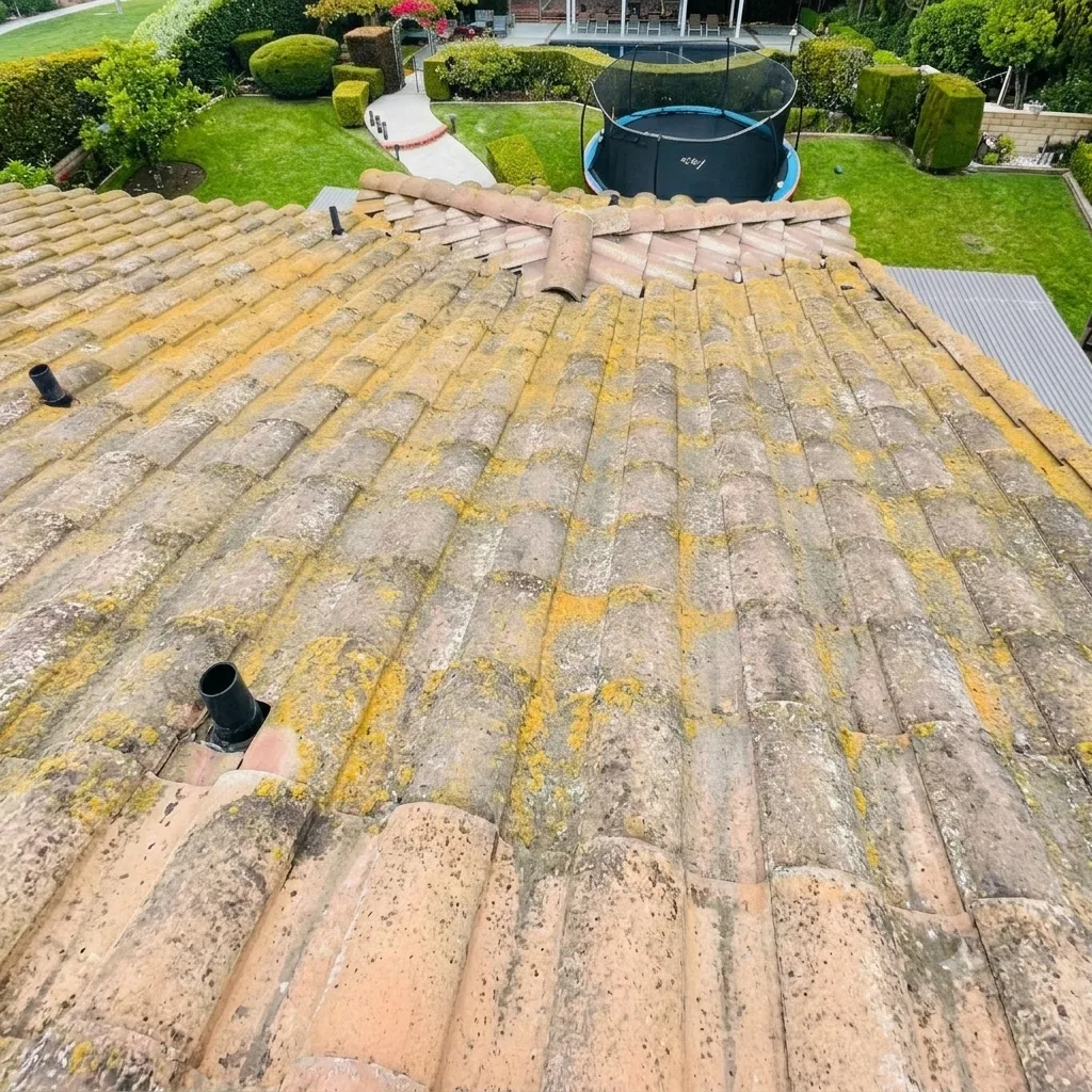 Concrete tile roof before cleaning, covered in dark algae and lichen buildup